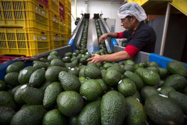 Valor de exportaciones agroalimentarias en México, el más alto en 29 años - MarketData