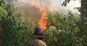La Nación / Bomberos intensifican trabajos para controlar focos de incendio