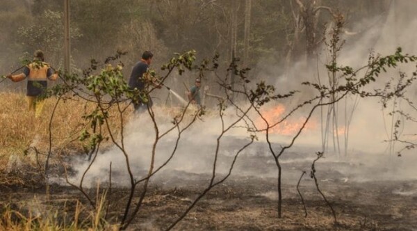 Múltiples incendios azotan al país: bomberos trabajan en su máxima capacidad
