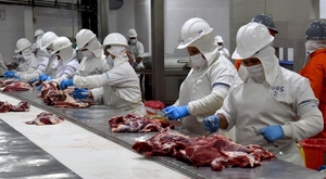 La carne bovina representa el 15,6% de los ingresos totales de divisas al país