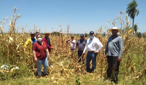 Productores de Ybycuí incrementan el rendimiento de sus cultivos con Buenas Prácticas Agrícolas