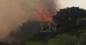 La Nación / Bombero advierte que se están perdiendo bosques y animales por incendios