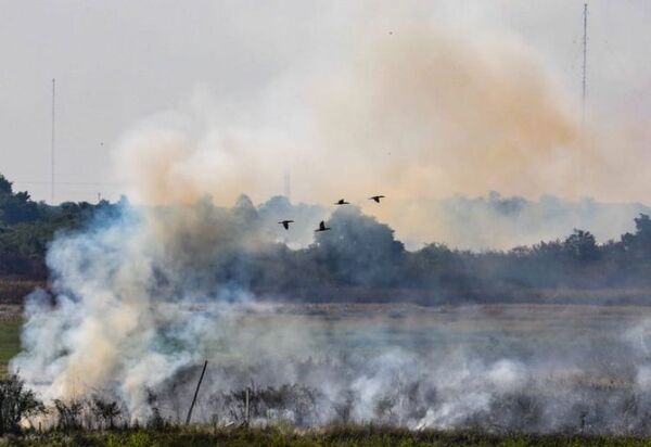 Infona afirma que el 95% de los incendios forestales son provocados e insta a realizar denuncias