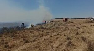 Incontrolables llamas en Misiones ponen en riesgo viviendas   - Nacionales - ABC Color
