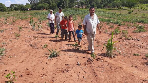 Agricultores de San Pedro se organizan y piden apoyo estatal para enfrentar pérdidas por sequía - Nacionales - ABC Color