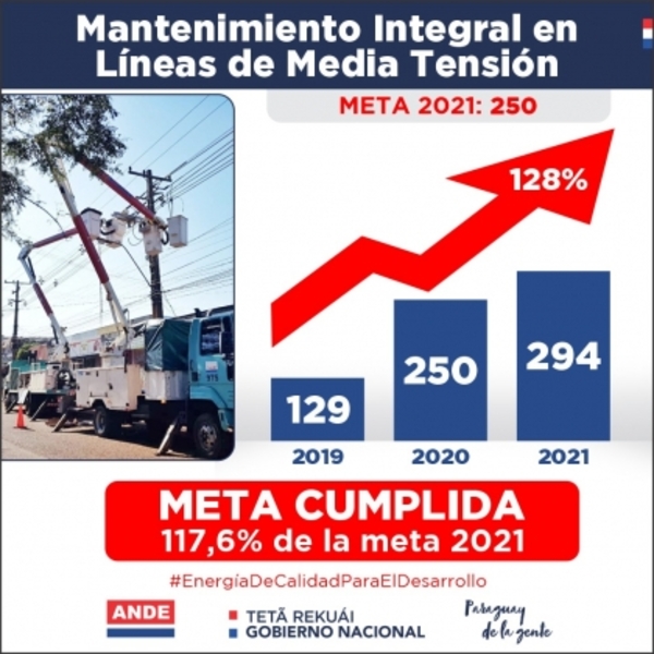 ANDE realizó mantenimiento integral a 294 líneas de media tensión a nivel país en 2021 - .::Agencia IP::.
