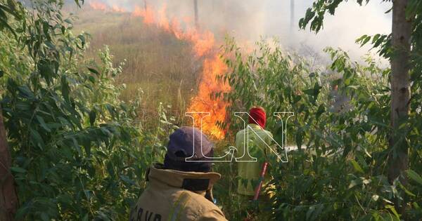 La Nación / Tuvo que dejar su festejo de cumpleaños para tratar de sofocar el incendio que amenazaba su vivienda