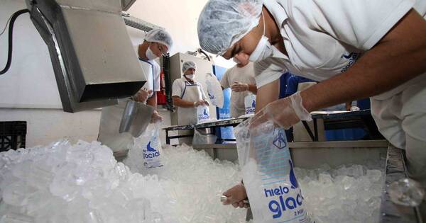 La Nación / Sector industrial de hielo está en crecimiento