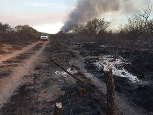 ¡Torbellino de arena e incendios! Un llamado a la conciencia por parte de la naturaleza