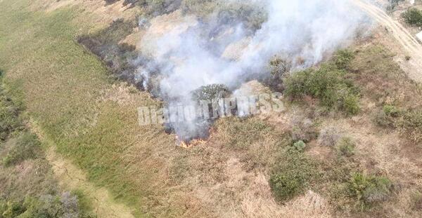 Infona afirma que el 95% de los incendios forestales son provocados e insta a realizar denuncias – Diario TNPRESS