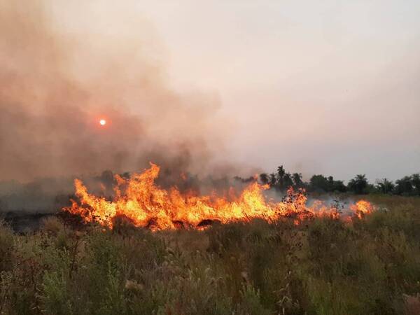 Crónica / Incendio Forestales: "Estamos a pasos de una catástrofe" dijo un bombero