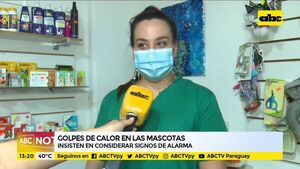 ¡Cuidado con los más mimados de la casa! Las mascotas pueden sufrir golpes de calor - ABC Noticias - ABC Color