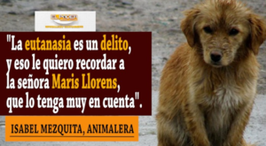 Isabel Mezquita a Maris Llorens: “La eutanasia es un delito, y eso le quiero recordar”
