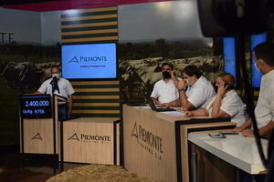 Piemonte negoció el 87% de la oferta de invernada con “precios estables”