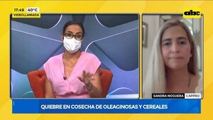 Quiebre en cosecha de oleaginosas y cereales - Factor Clave - ABC Color