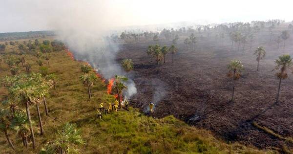 La Nación / Bomberos están al tope de su capacidad ante incendios