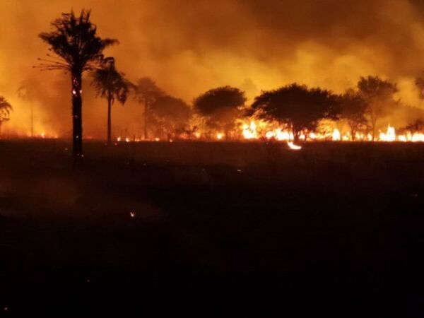 Infona reporta casi 3.000 focos de calor en las últimas 24 horas