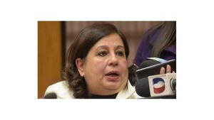 Los opositores reclaman una investigación en serio a HC