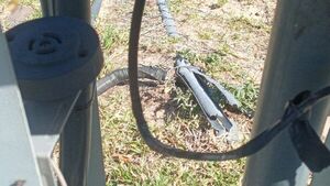 Municipalidad administra la Costanera, pero niega responsabilidad en muerte por electrocución - Nacionales - ABC Color