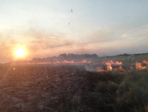 Cuatro bomberos de Misiones fueron internados por agotamiento · Radio Monumental 1080 AM