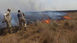 Cinco bomberos internados en Misiones por incendios forestales