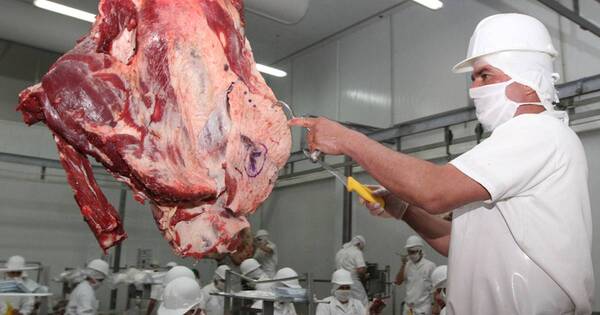 La Nación / Índice de precios de carne de la FAO aumentó 13%