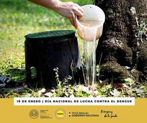 Hoy, 18 de enero, se recuerda el “Día Nacional de Lucha Contra el Dengue” | OnLivePy