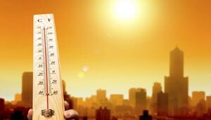 Ola de calor: 17 localidades registraron temperaturas históricas