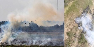 INFONA AFIRMA QUE EL 95% DE LOS INCENDIOS FORESTALES SON PROVOCADOS E INSTA A REALIZAR DENUNCIAS - Itapúa Noticias