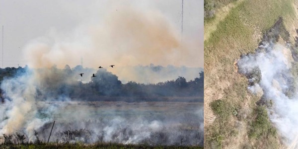 INFONA AFIRMA QUE EL 95% DE LOS INCENDIOS FORESTALES SON PROVOCADOS E INSTA A REALIZAR DENUNCIAS - Itapúa Noticias