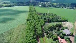 LO QUE NO SE VE DEL TÚNEL VERDE DE SANTA RITA