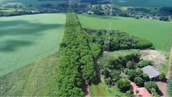 LO QUE NO SE VE DEL TÚNEL VERDE DE SANTA RITA
