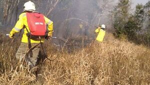 Cuatro bomberos voluntarios internados por agotamiento