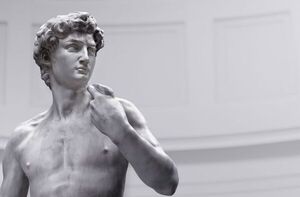 El David de Miguel Ángel “intercambia mensajes” para divulgar su historia - Tecnología - ABC Color