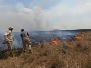 Cinco bomberos internados en Misiones por incendios forestales