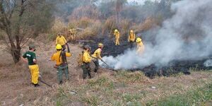 Cuatro bomberos voluntarios internados por agotamiento