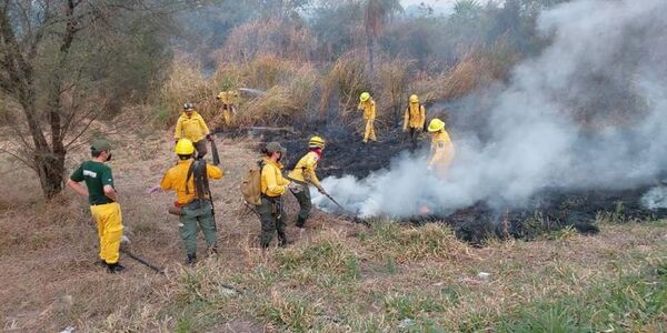 Cuatro bomberos voluntarios internados por agotamiento