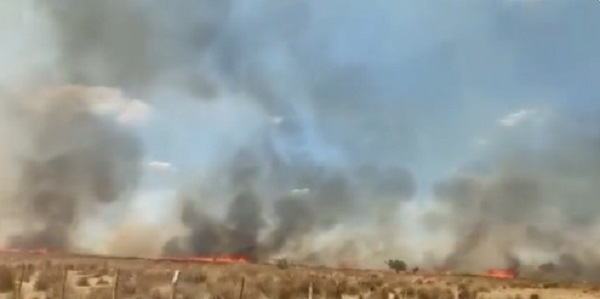 Apuntan a ganaderos y abigeos como responsables de incendios