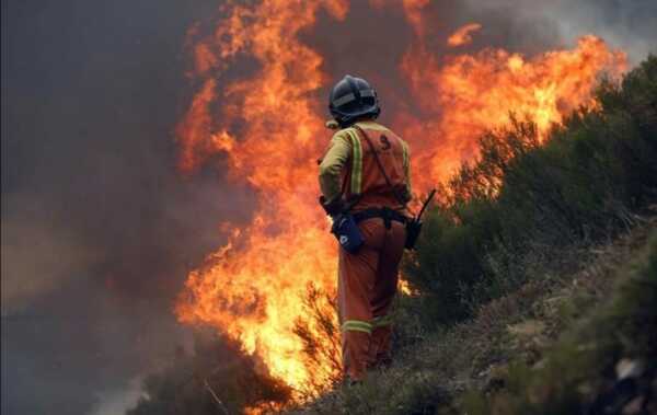 Cuatro Bomberos Voluntarios tuvieron que ser internados por agotamiento