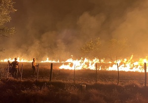 Incendios se producen en una 'época atípica', según INFONA