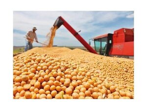 Exportación agrícola registra aumento del 30% en sus ingresos