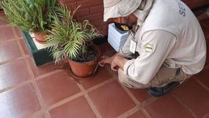 Senepa con pocas notificaciones sobre casos de dengue