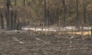 Incendios arrasaron con todo en Misiones - SNT