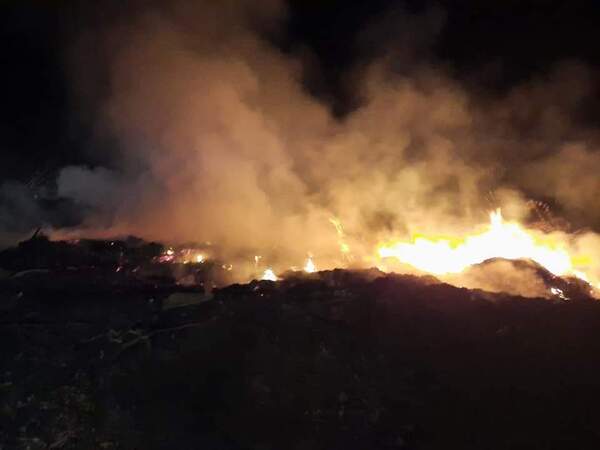 En Misiones se están quemando 2.000 hectáreas por día a causa de los incendios