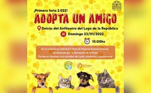 Municipalidad reimpulsa feria de emprendedoras y adopción de mascotas