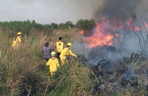 Responsables de incendios se exponen a una pena de entre 3 y 8 años de cárcel