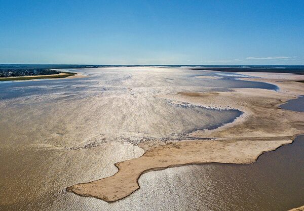 La bajante del Río Paraná afectó a más de 100 especies de peces