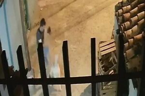 Viralizan vídeo de una terrible agresión a un perro en Asunción - Nacionales - ABC Color