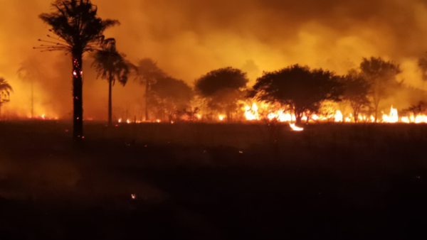 Recuerdan que provocar un incendio tiene una pena de 5 años de cárcel