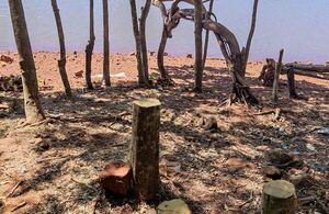 Letrina, deforestación y desvío de cauce en reserva del lago Acaray - ABC en el Este - ABC Color